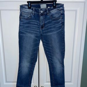 BKE Gabby Skinny Jeans